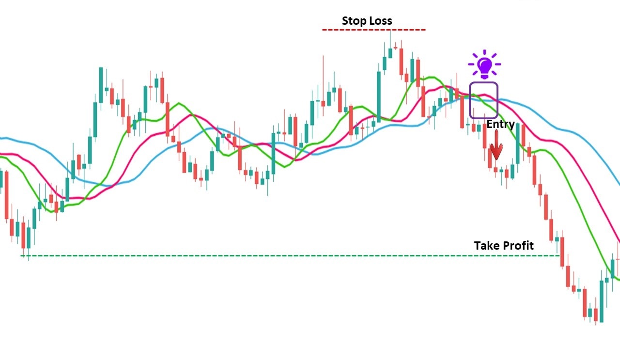 Alligator Indicator Explained - Cara Trading Forex secara efektif menggunakan indikator Williams Alligator dengan ExpertOption Alligator Indicator Explained - Cara Trading Forex secara efektif menggunakan indikator Williams Alligator dengan ExpertOption